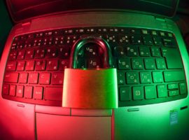 fly-d-F7aZ8G7gGBQ-unsplash